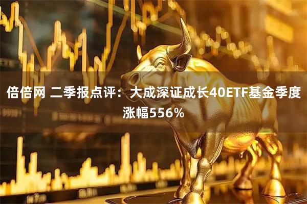 倍倍网 二季报点评：大成深证成长40ETF基金季度涨幅556%
