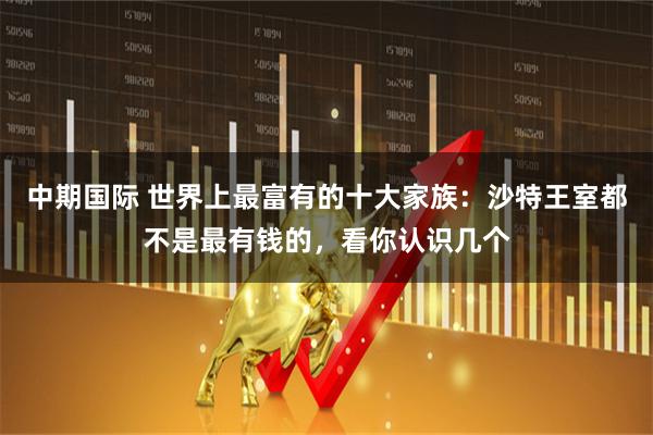 中期国际 世界上最富有的十大家族：沙特王室都不是最有钱的，看你认识几个