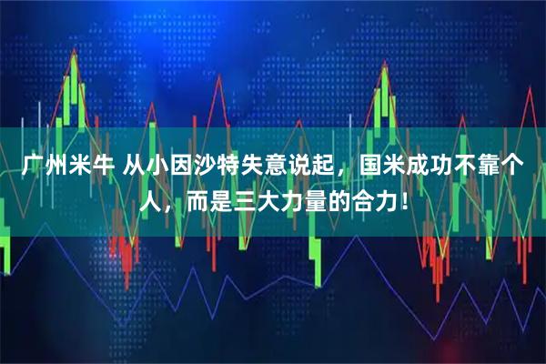广州米牛 从小因沙特失意说起，国米成功不靠个人，而是三大力量的合力！